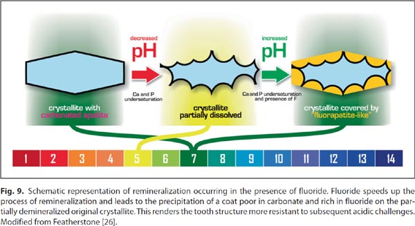 How Does Ph Affect Tooth Decay